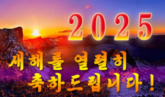 새해2025년을 열렬히 축하드립니다！